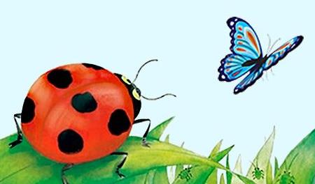 蝴蝶和瓢虫的故事