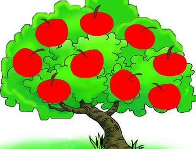 苹果树下的故事