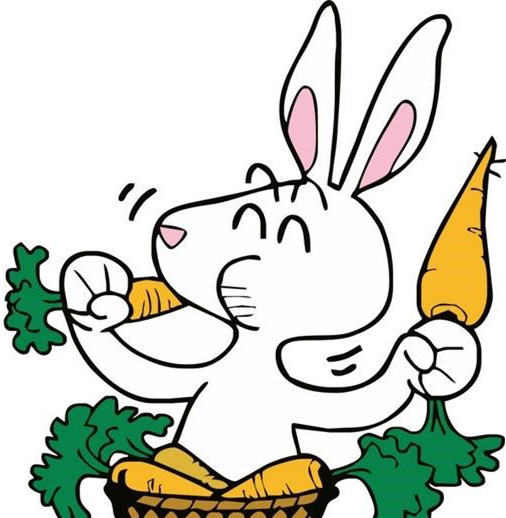 挑食的小白兔种萝卜的故事2