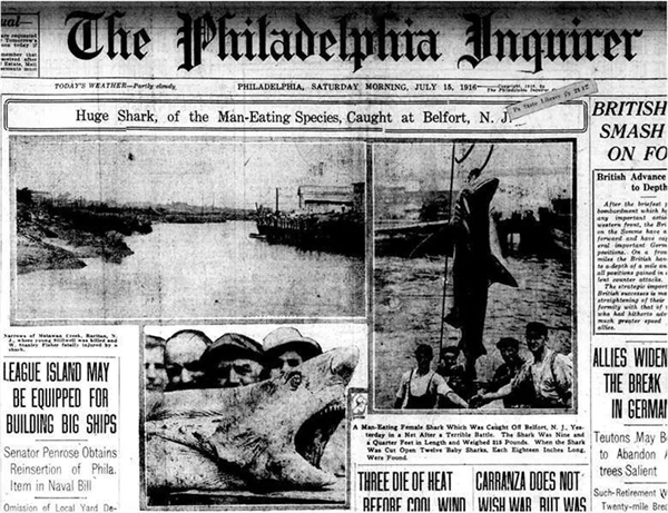 1916年 美国一条鲨鱼游到小溪：12天4死1伤 全民疯狂复仇！